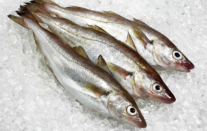 What Does Whiting Fish Taste Like