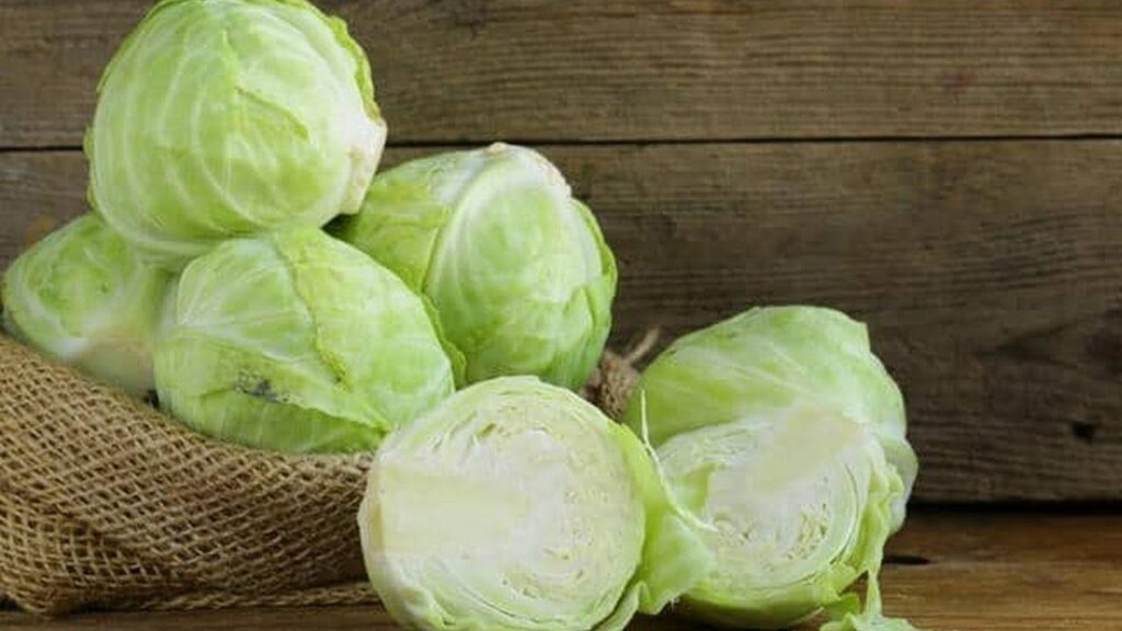The 5 Best Substitutes for Cabbage